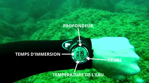 DiVONEA | Ordenador de Apnea, Pesca submarina y Buceo thumbnail 6